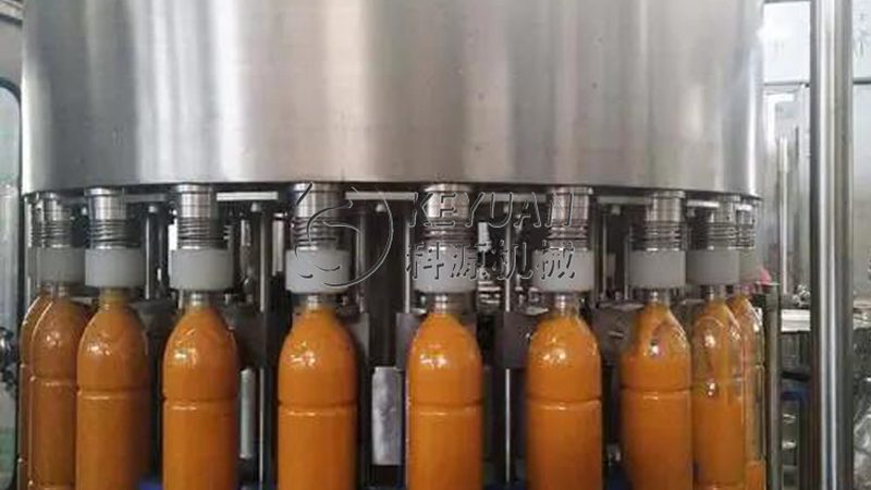 工业冻干机：揭秘其型号规格与批发价背后的真相**